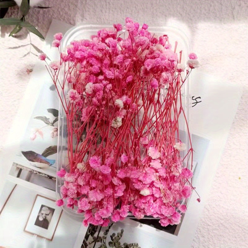 Dried Everlasting Flowers Diy Material Kit Dried Flowers - Temu