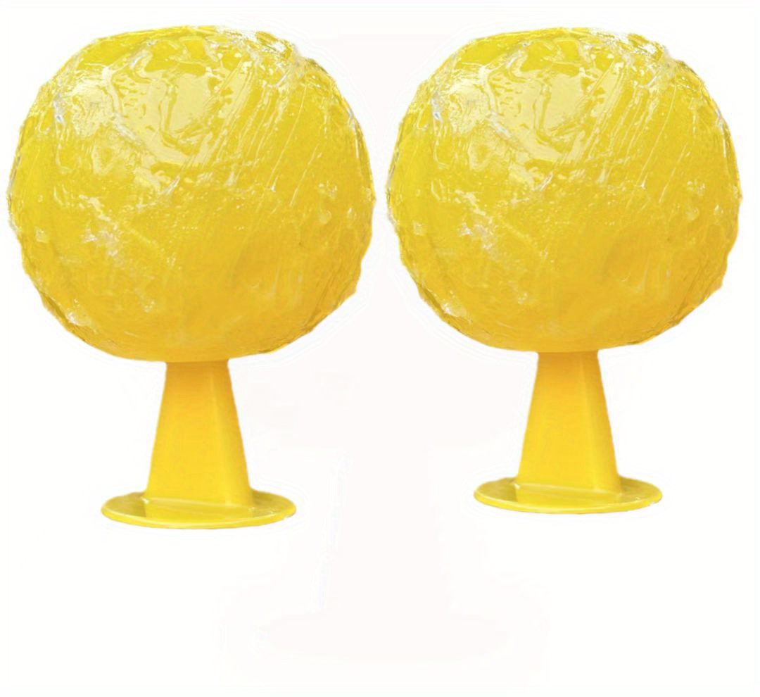 2pcs Fly Trap Ball Fruit Fly Traps Catcher Outdoor Fruit Fly Catcher