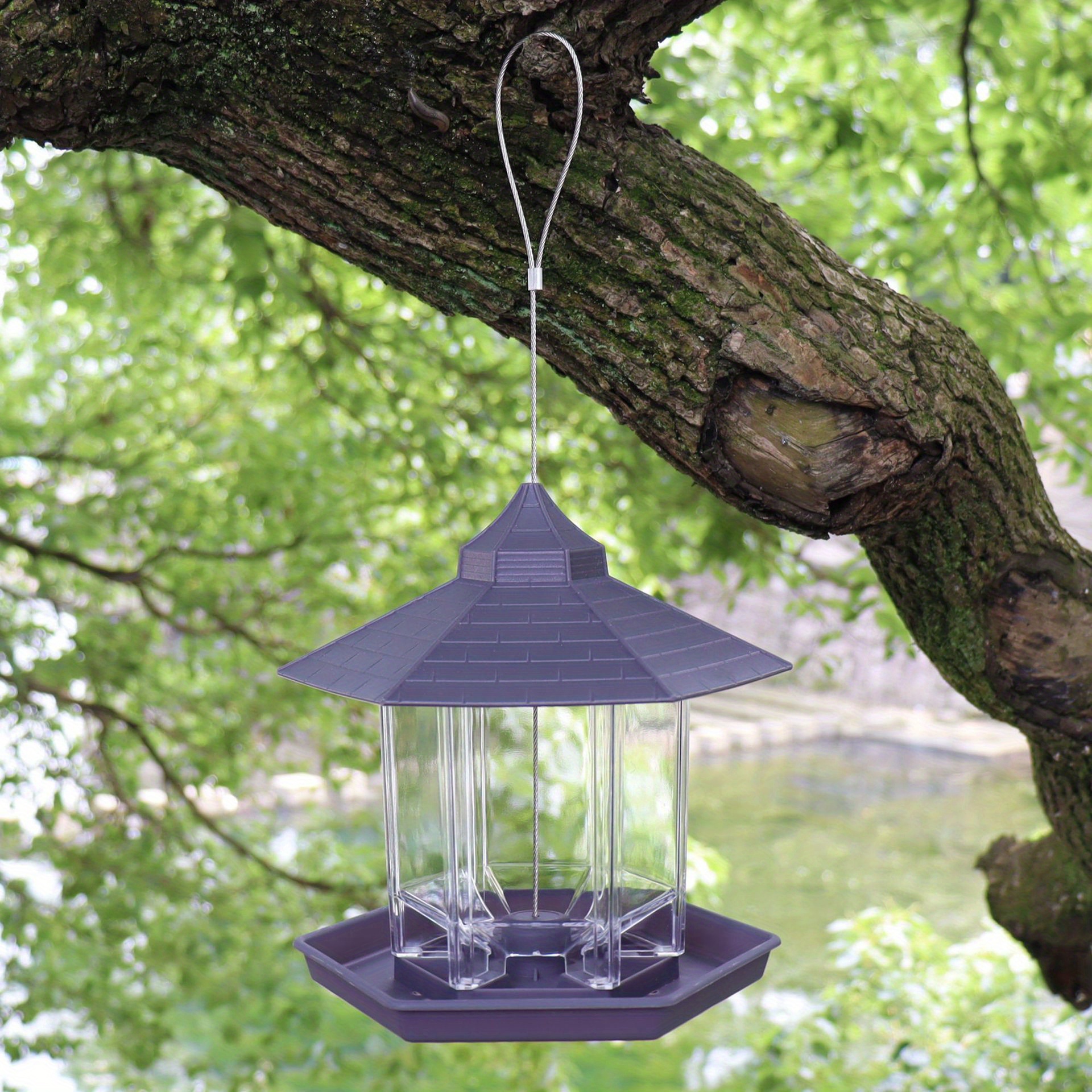 Pot D'eau Suspendu En Métal, Mangeoire Pour Oiseaux, Extérieur, Ferme,  Colibri, Décor D'automne 1 Pièce - Temu Belgium