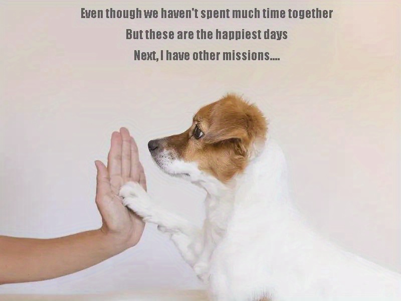 Rainbow Bridge Memorial Gifts Dogs Loss Dog Sympathy Gift Temu New Zealand