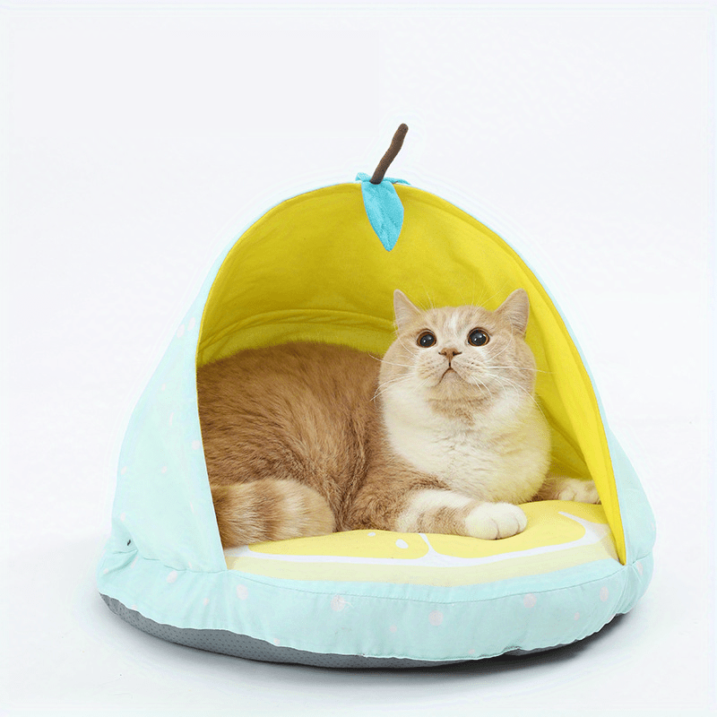 Fruit hotsell cat bed