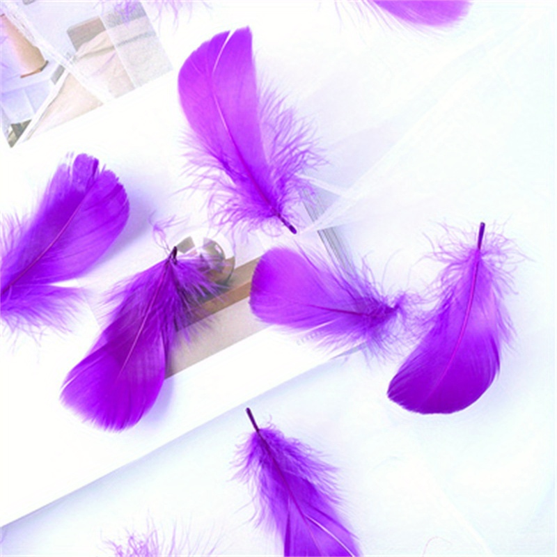 Variety Of Soft And Fluffy Wholesale large goose feathers 