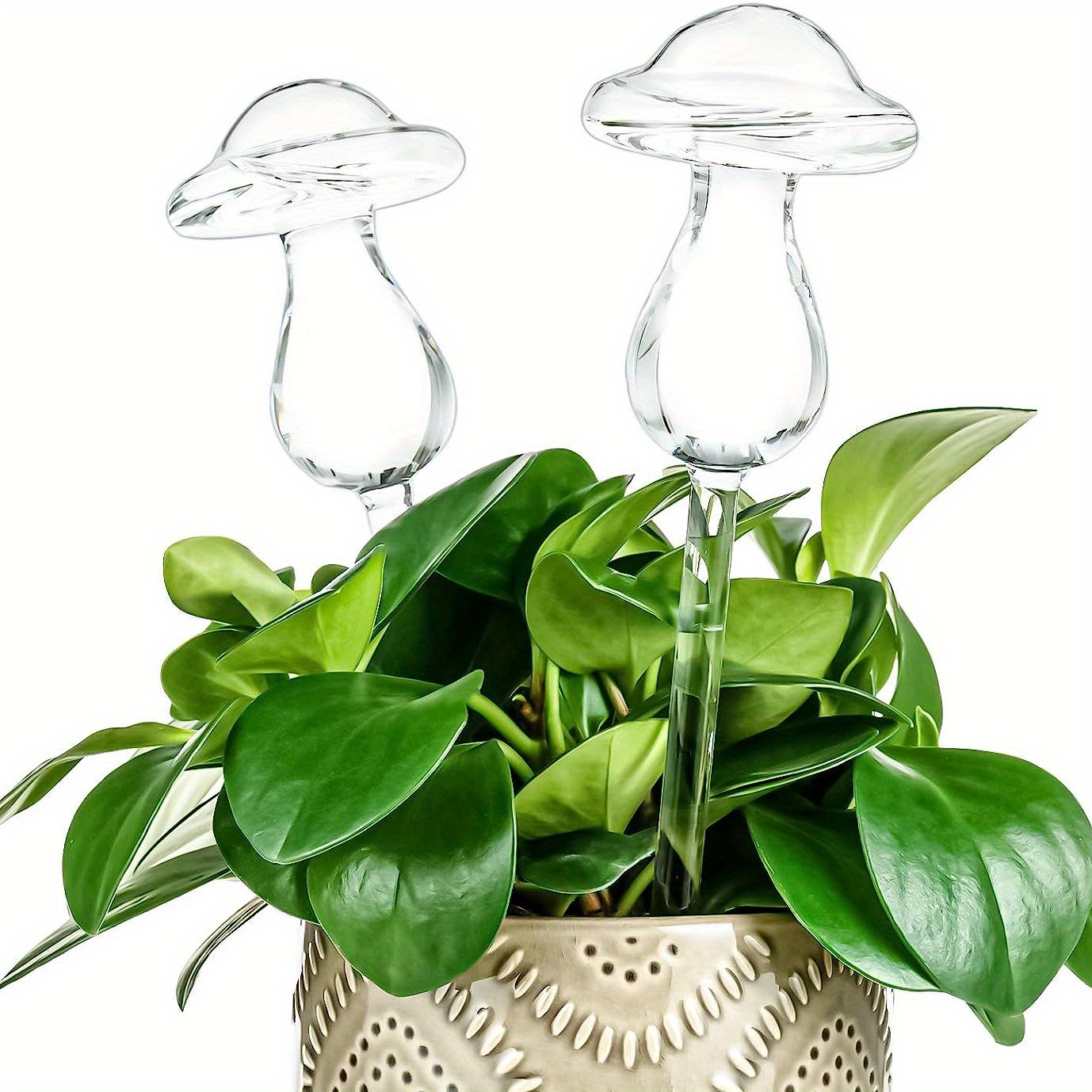 Ahhute 3 Pack Globes d'arrosage en verre avec épis d'oiseaux auto-arrosants  pour les plantes, intérieur et extérieur