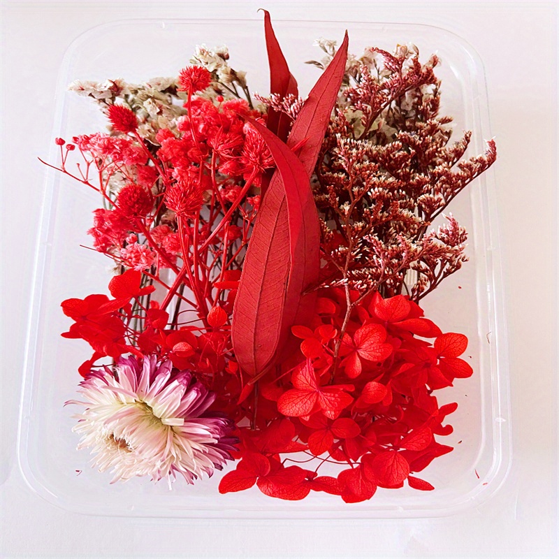 Eternal Flower Full Star Flower Box A Variety Dried Flower - Temu