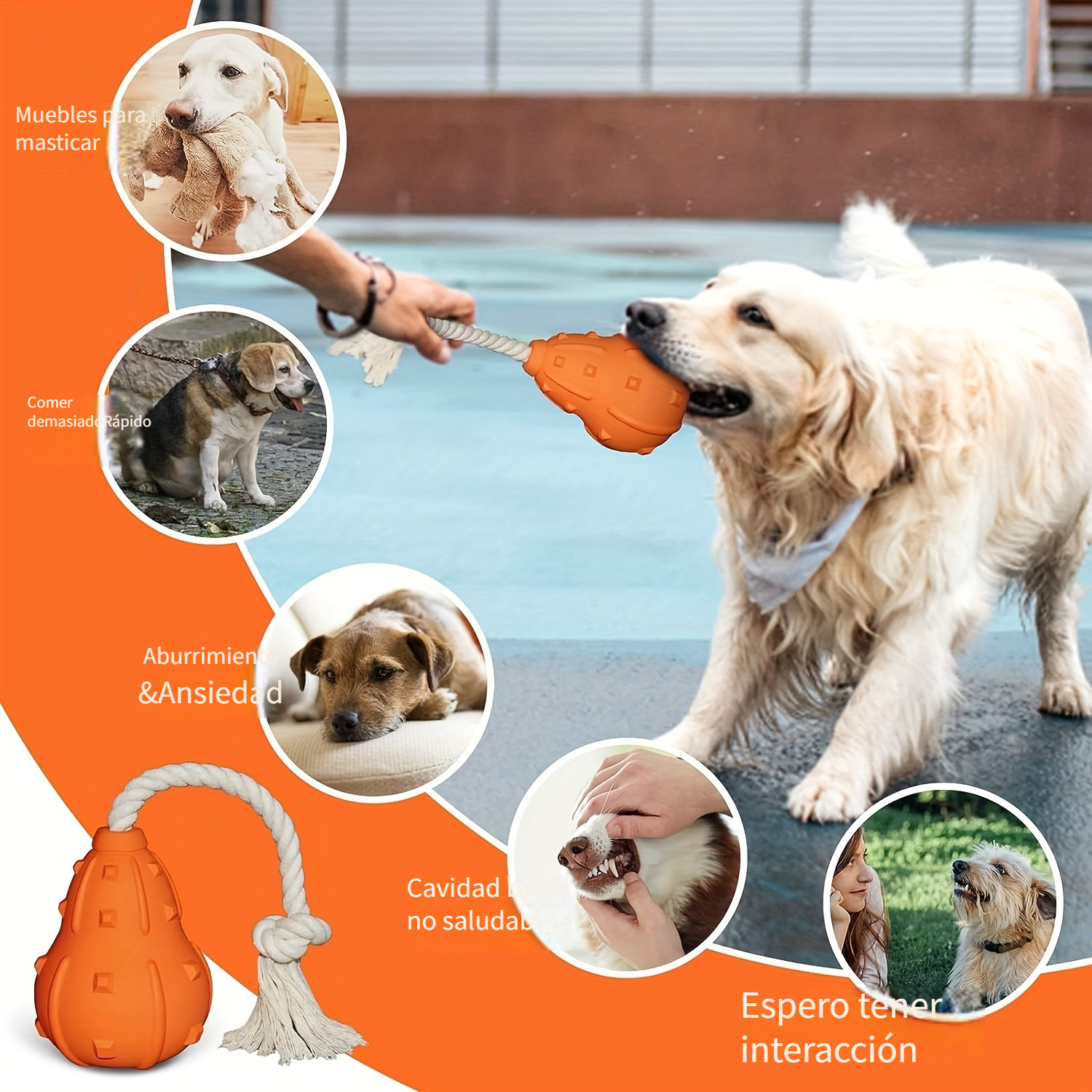 CHLEBEM Juguetes interactivos para perro, juguete para masticar para perros  pequeños y medianos, dispensador de alimentos IQ Treat, puzle para cachorros  y mascotas, bola de goma resistente y duradera, mejor limpieza de