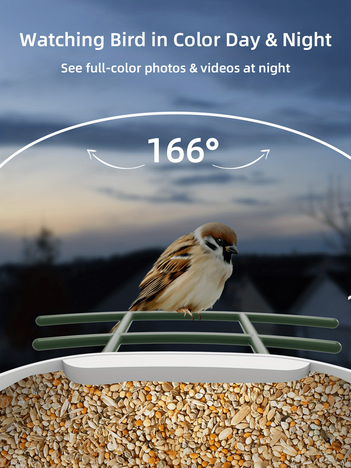 Mangeoire à colibris avec appareil photo, caméra de version nocturne HD  1080p, point d'accès Wifi pour connexion à distance au téléphone portable  pour l'observation des oiseaux en plein air