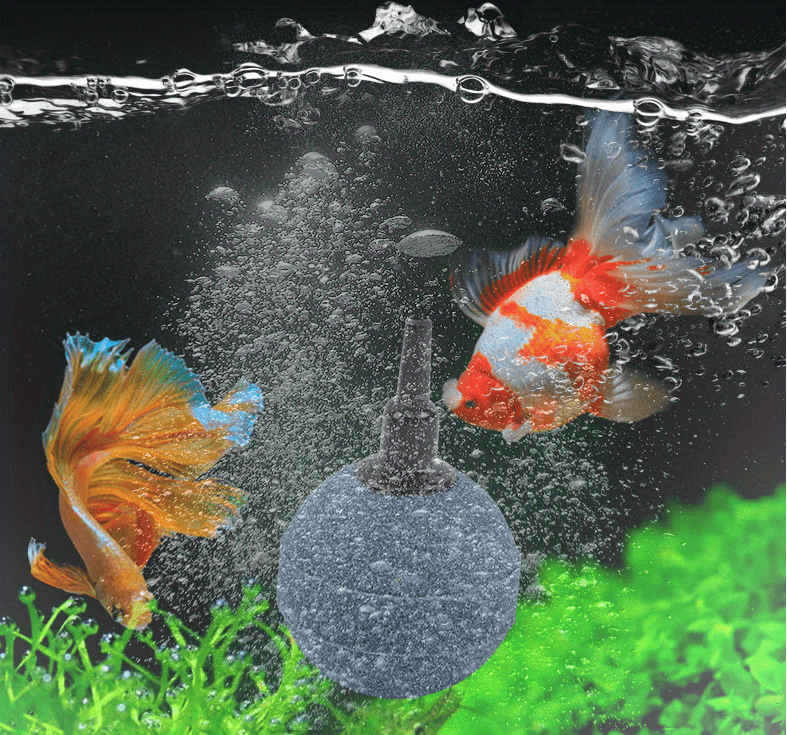 Aquarium Air Stone Bubble Diffuser Release Tool Fish Tank Decoration Round  Bomb-shaped Oxygen Stone, Air Stone - Temu Australia