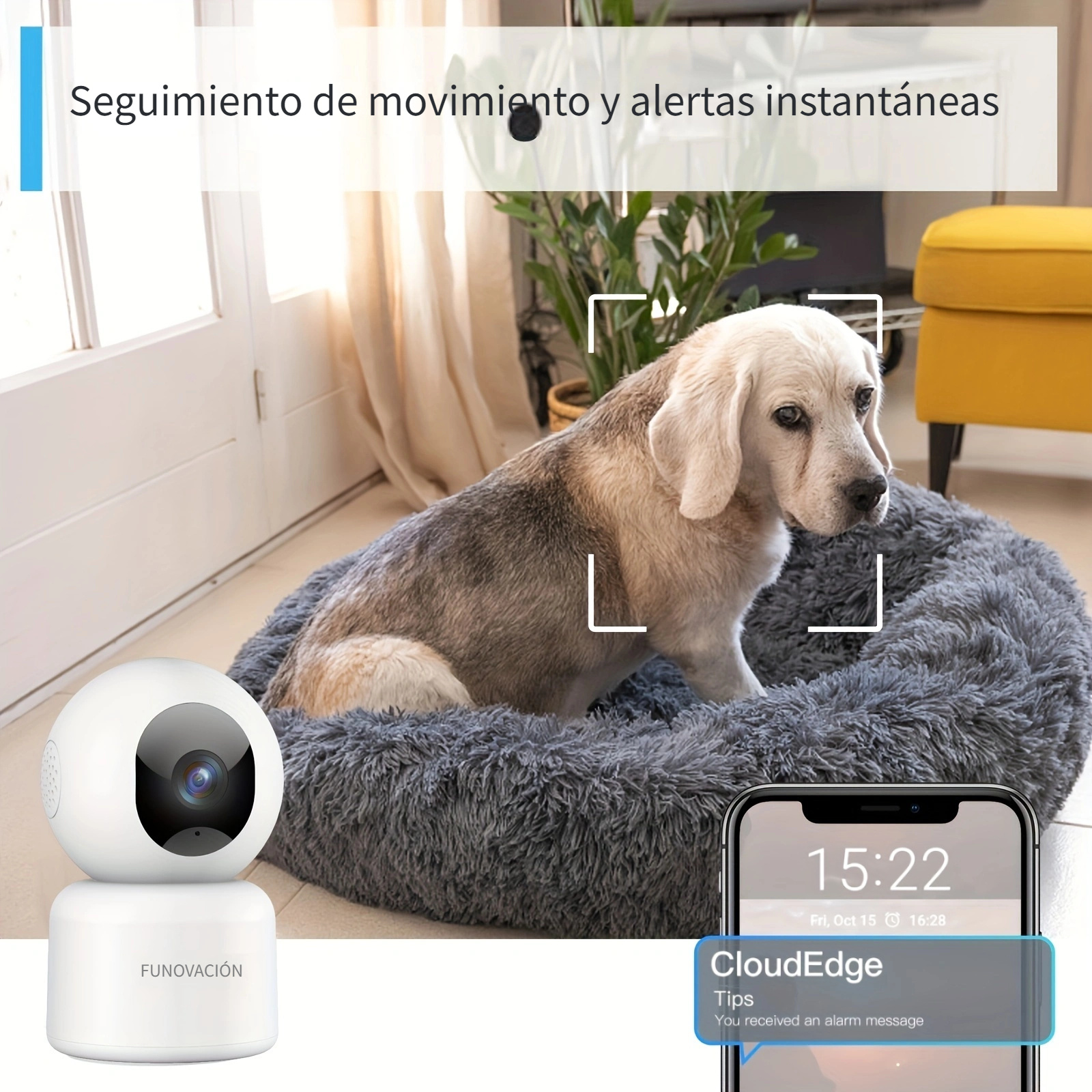 Cámara de seguridad para mascotas para interiores - Cámara WiFi para  mascotas 2K, cámara para mascotas con aplicación de teléfono, cámaras de