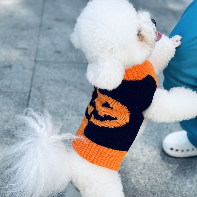 chicago bears dog apparel
