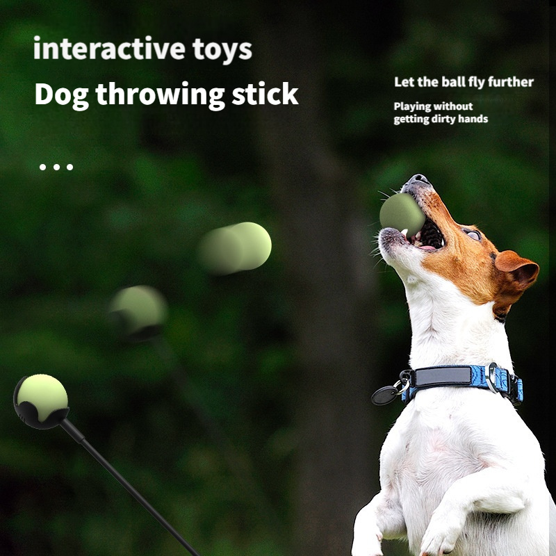 How To Train A Dog To Play Fetch Teaching Your Dog To Play Fetch