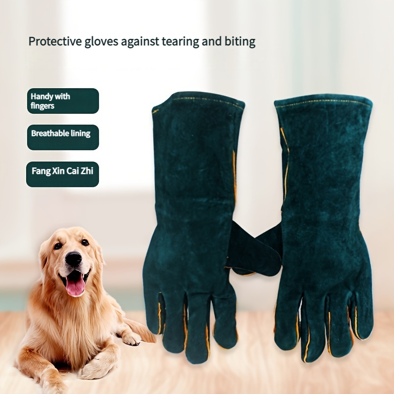 Bite gloves for dogs best sale