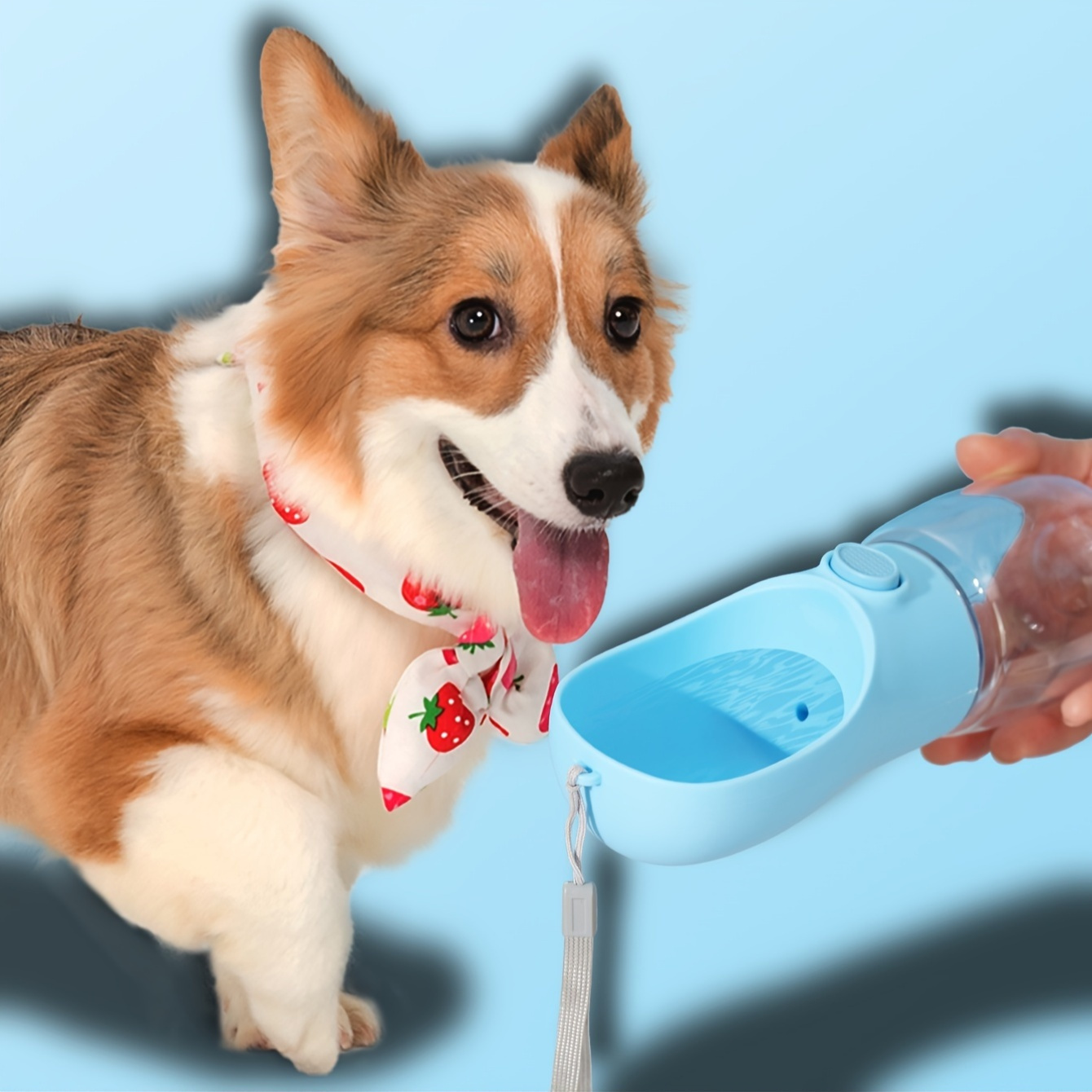 Dog water bottle dispenser best sale