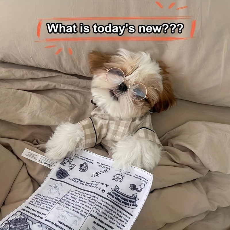 Durable Squeaky Newspaper Dog Toy - Interactive Chew Toy For All Breeds ...
