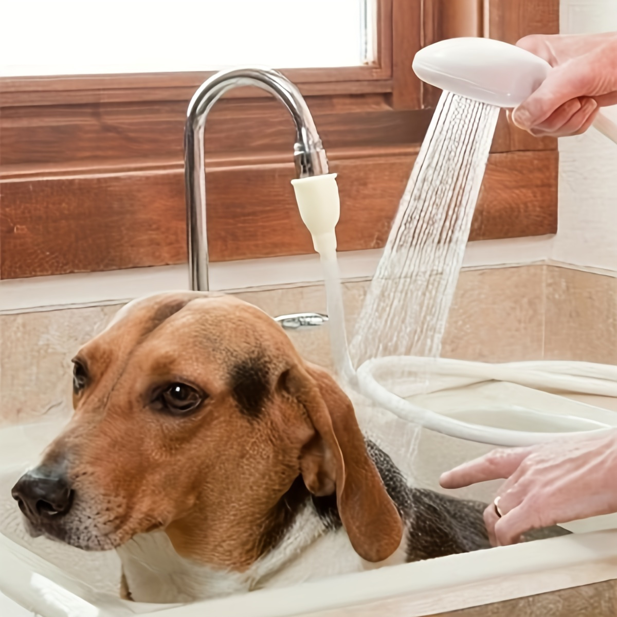 Dog shower attachment best sale