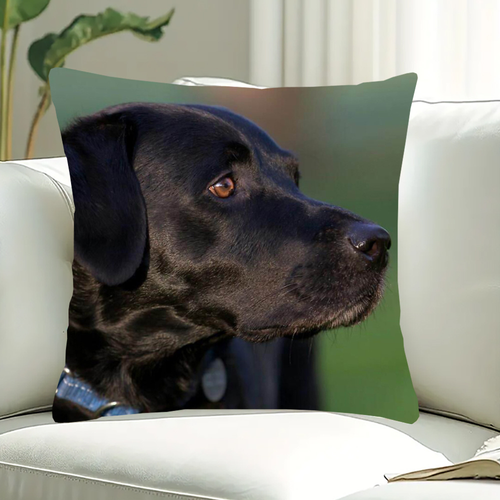 

1pc, 18x18 Inch, Retriever, Art , Short Pillowcase, Vintage, Machine Washable, Zipper Closure, Polyester Cover, For Home Sofa, Office Chair, Car, Silrde1280