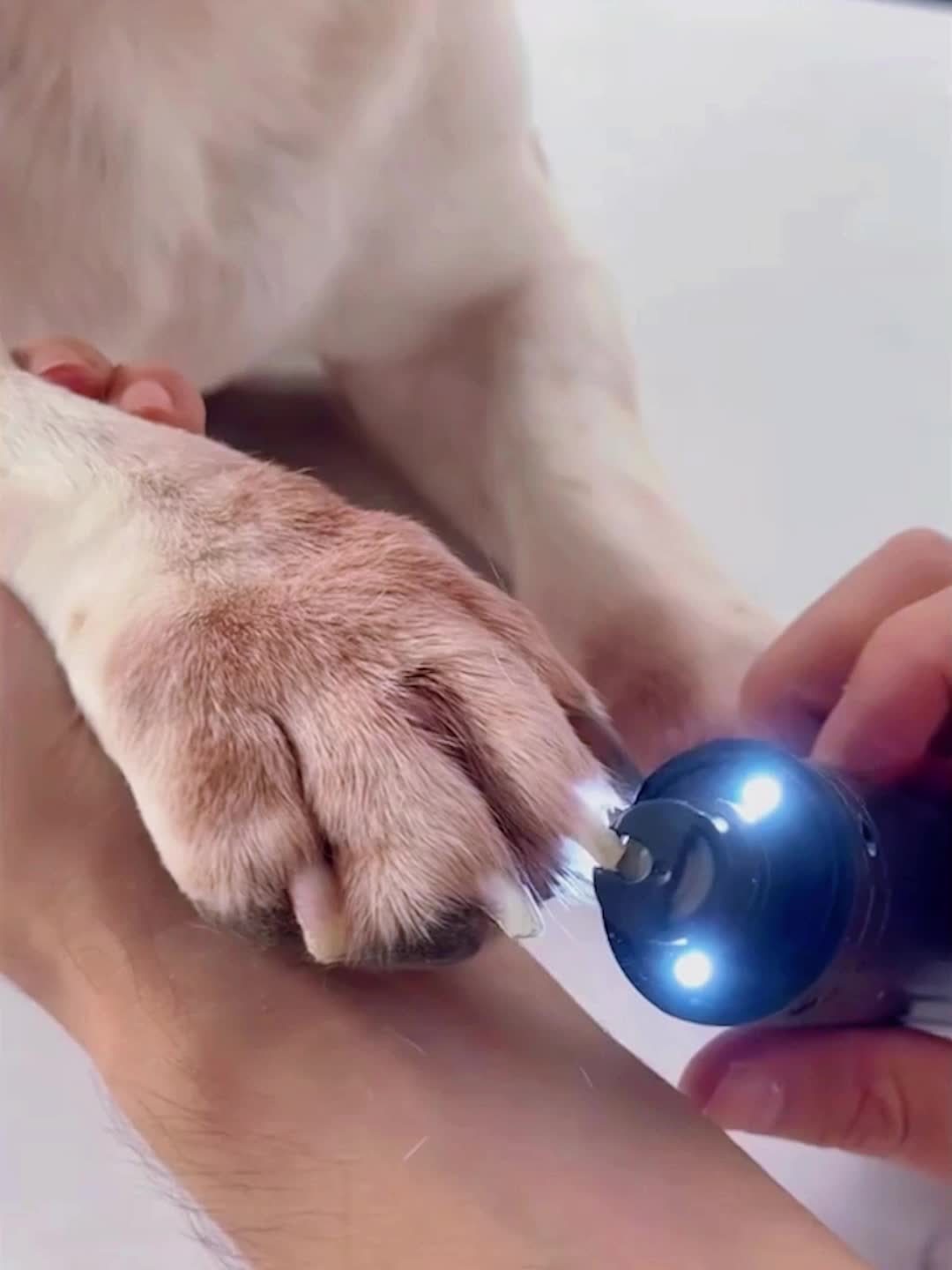 Dog Nail Grinder with 3 LED Lights and USB Rechargeable