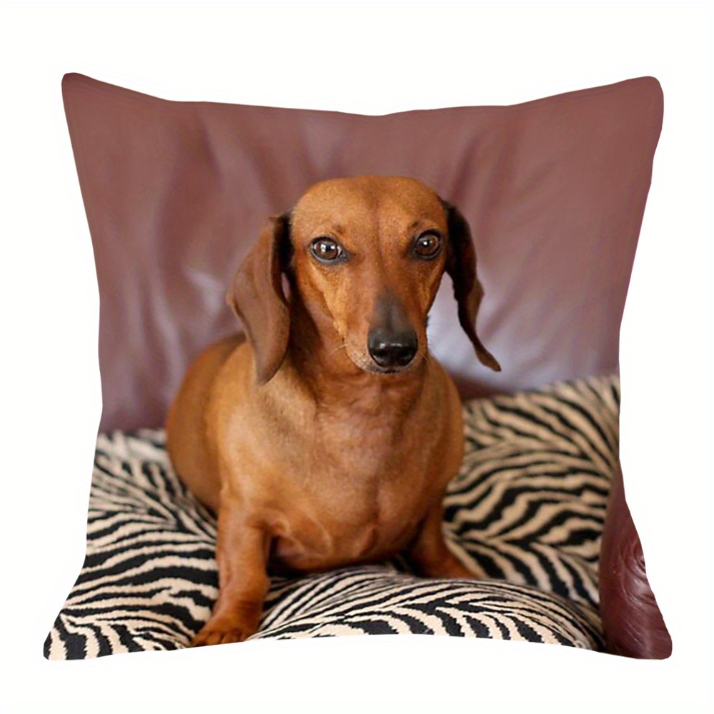 

- , 18x18 - Zippered, , For Sofa &