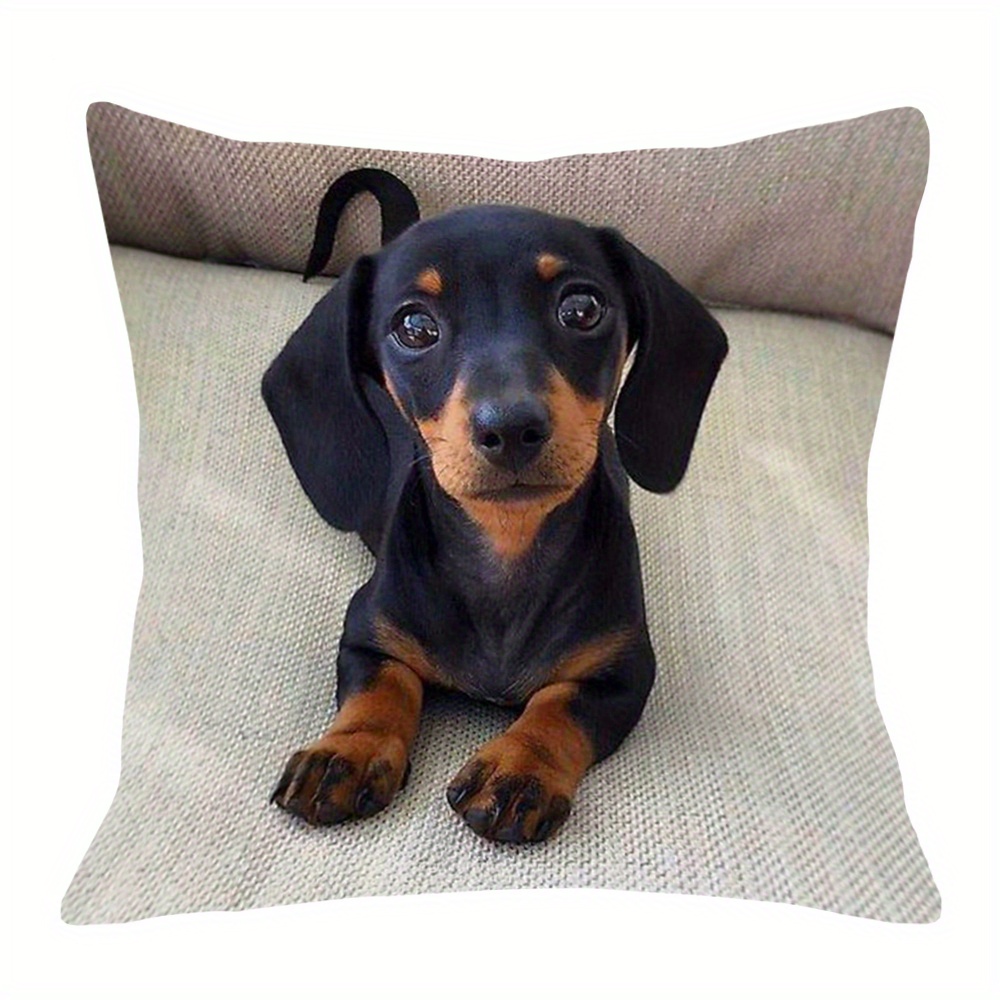 

Dachshund Dog Double-sided Soft Plush Throw Pillow Cover 18x18 Inch - Zippered Case For Sofa, Bed, Car & Living Room Decor (pillow Not Included), Plush Pillow