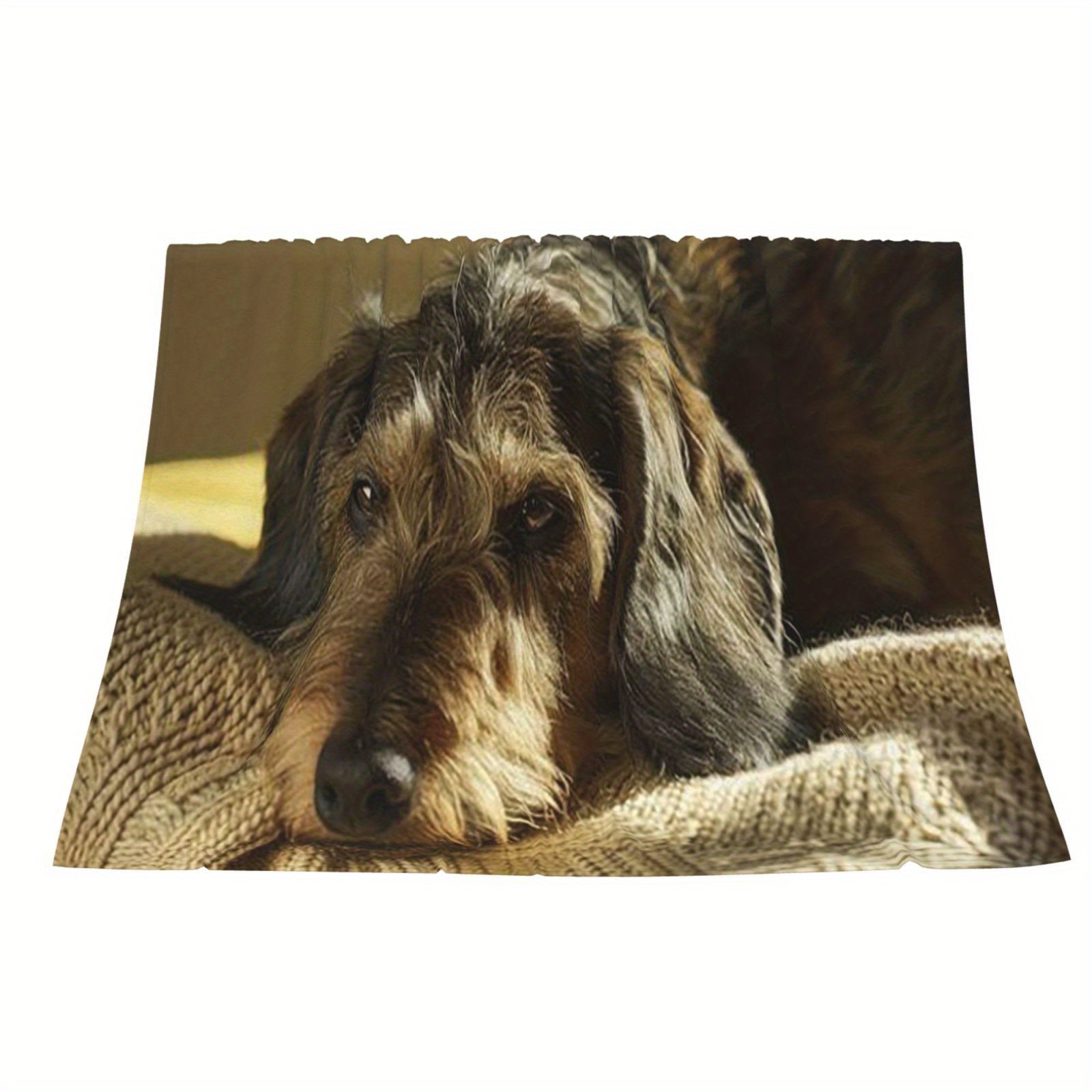 

- & Blanket, 80x60 - For Bed Or , For