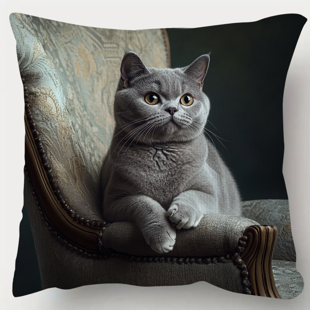 

British Shorthair Cat - Double-sided, , 18x18 - For Sofa & , Zip