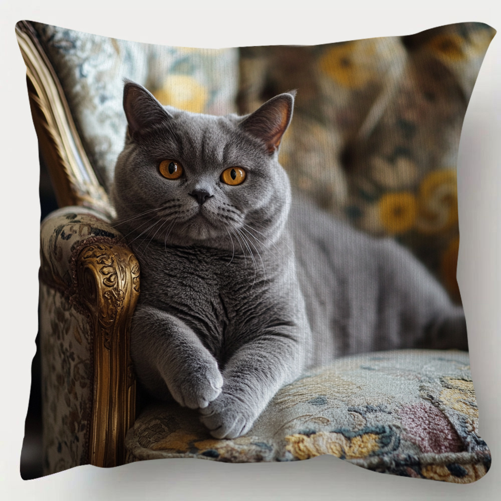 

1pc Traditional British Shorthair , Double-sided Cushion , 18x18 , , , , For Sofa, , Bedroom, Decor - No Included