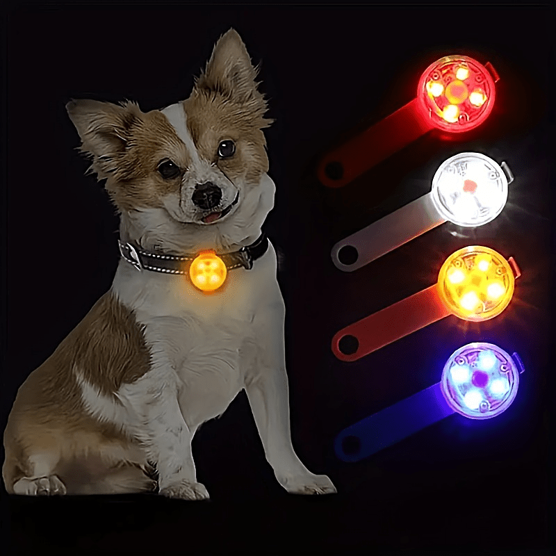Personalized Dog Collar Reflective Best Seller Type-C Usb Luminous