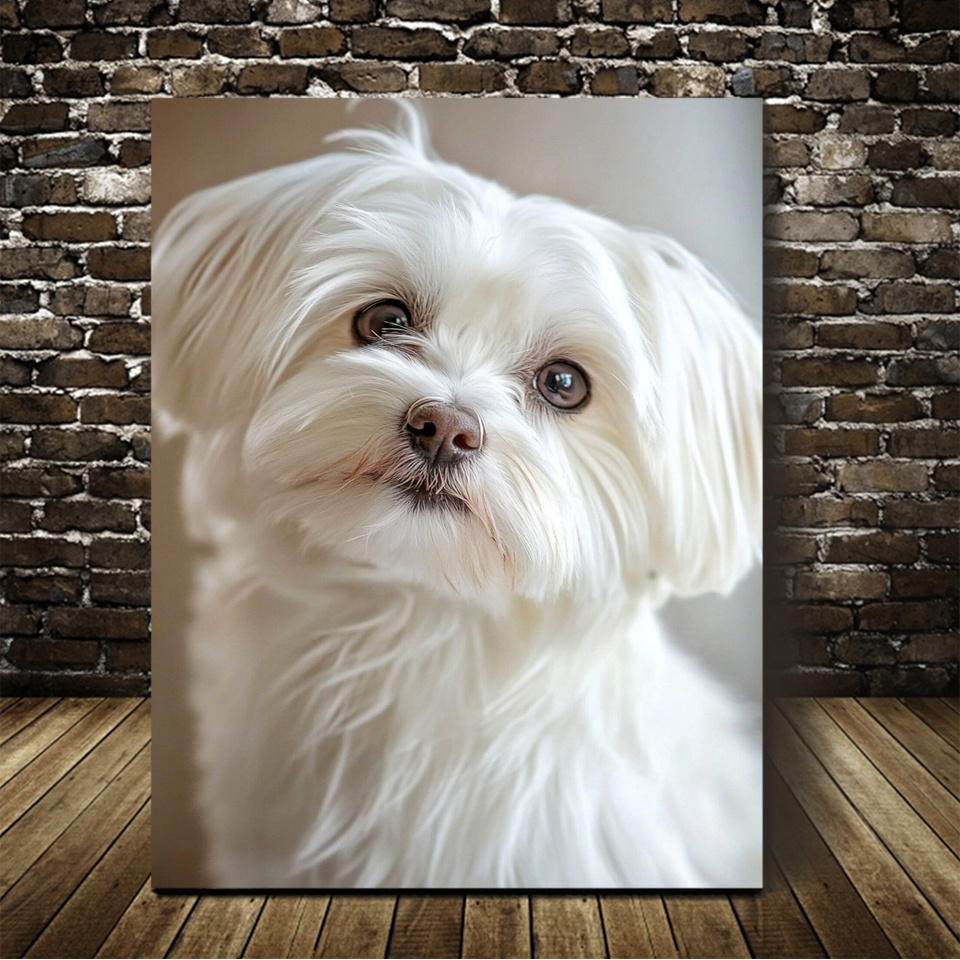 

1pc moderne blanc maltais chien d’art sur toile, décor de cadre en bois, 11,8 x 15,7 pouces, pour café, bureau, salon, salle de bain, salle à manger, dortoir ou cuisine - pas de plume, pas de