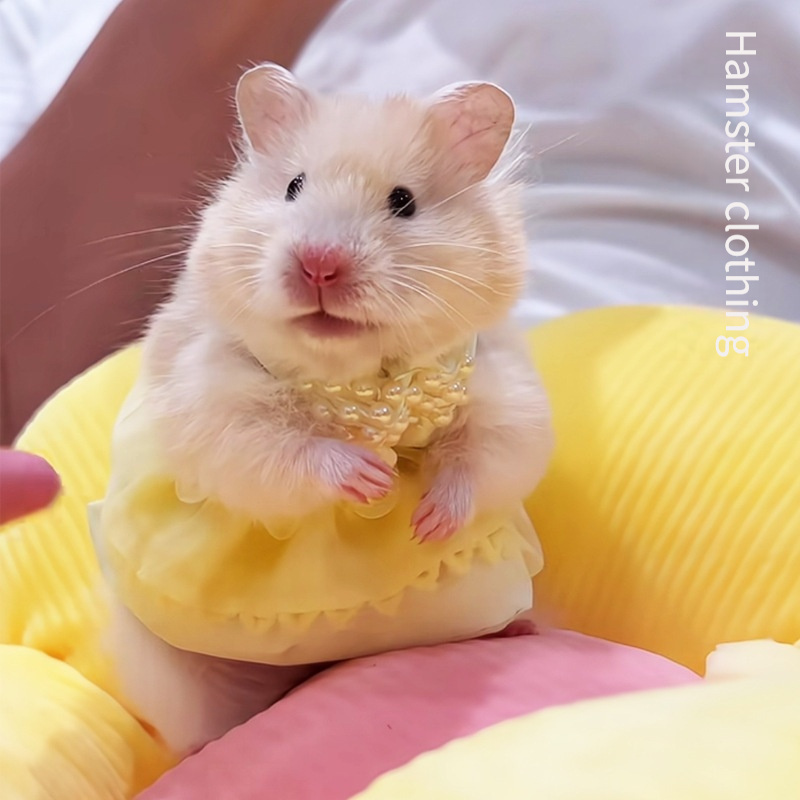 愛らしいオール 用ハム レス 小動物用超キュートなプリンセス