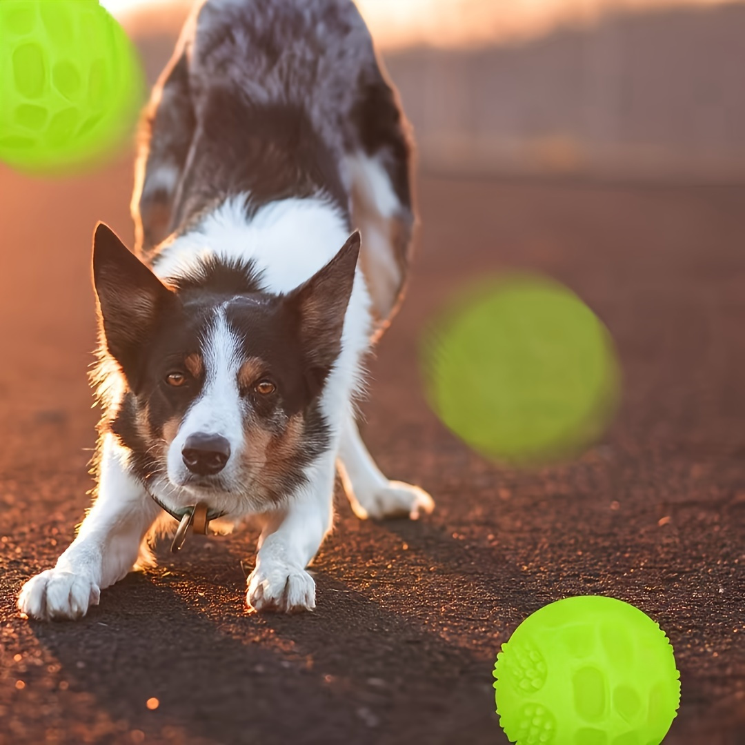 

3 paquets de jouets couineurs chiens phosphorescents - Balles de récupération en caoutchouc toutes les tailles de , non toxiques, jeu interactif piles