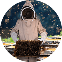 Cuidado de la granja