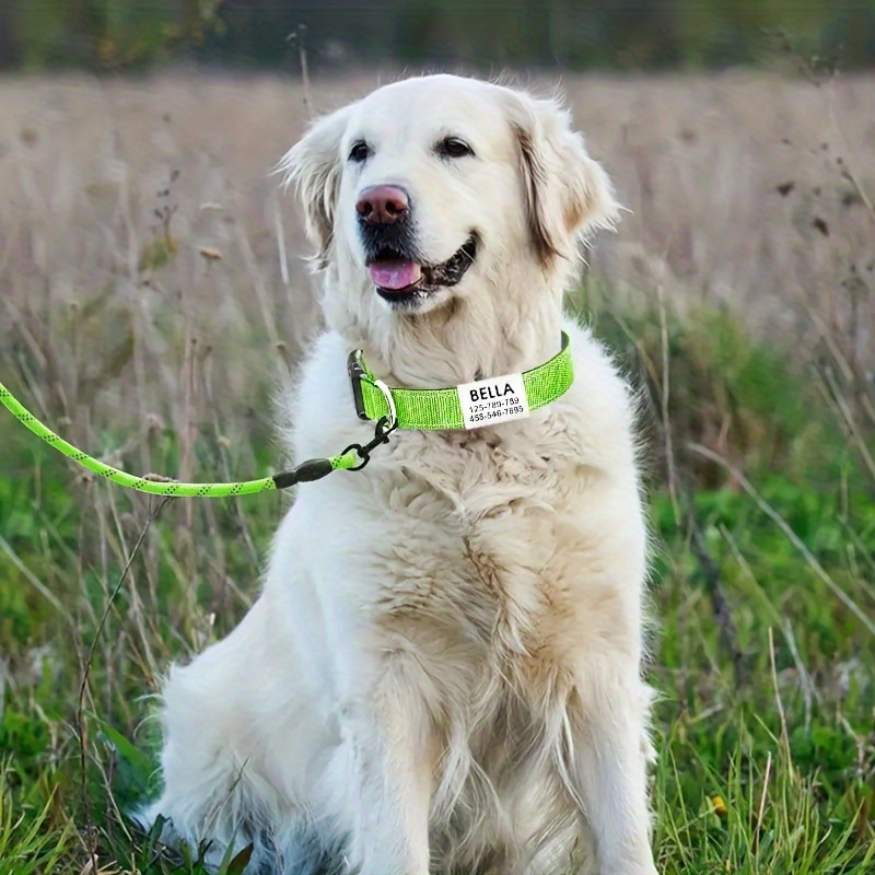 Customizable Reflective Nylon Dog Collar with Leash