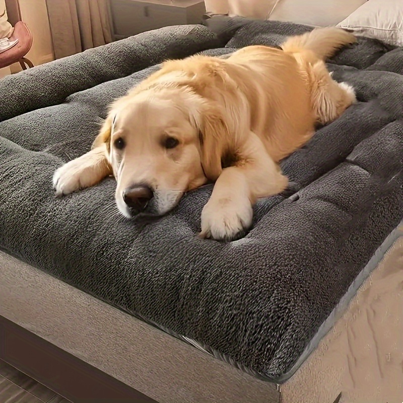 Peitoral Led para cães