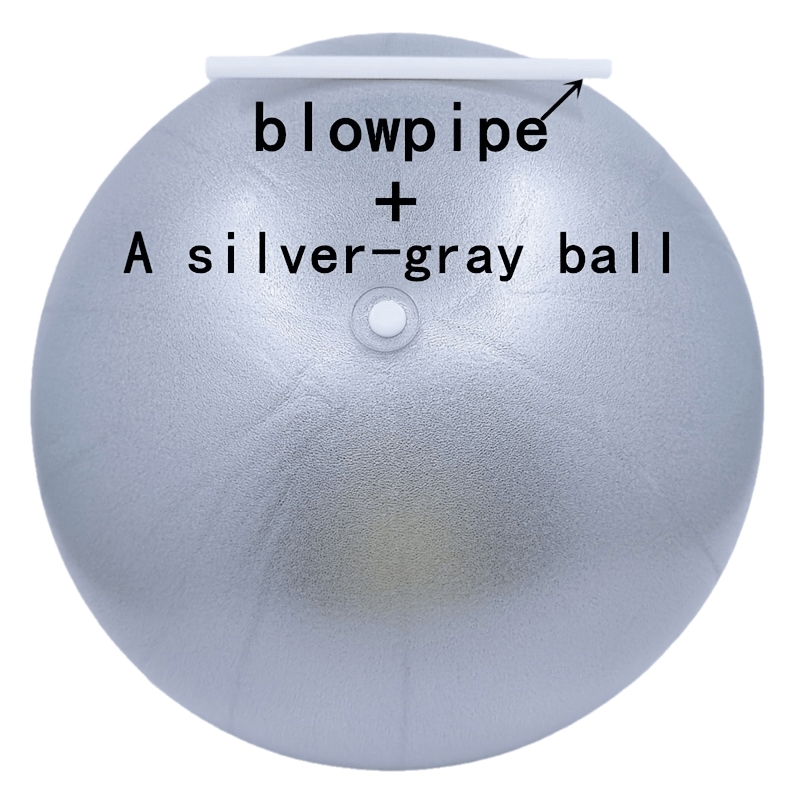 TEMU Yoga Ball, Pilates Ball, Fitness Ball, Massage Ball