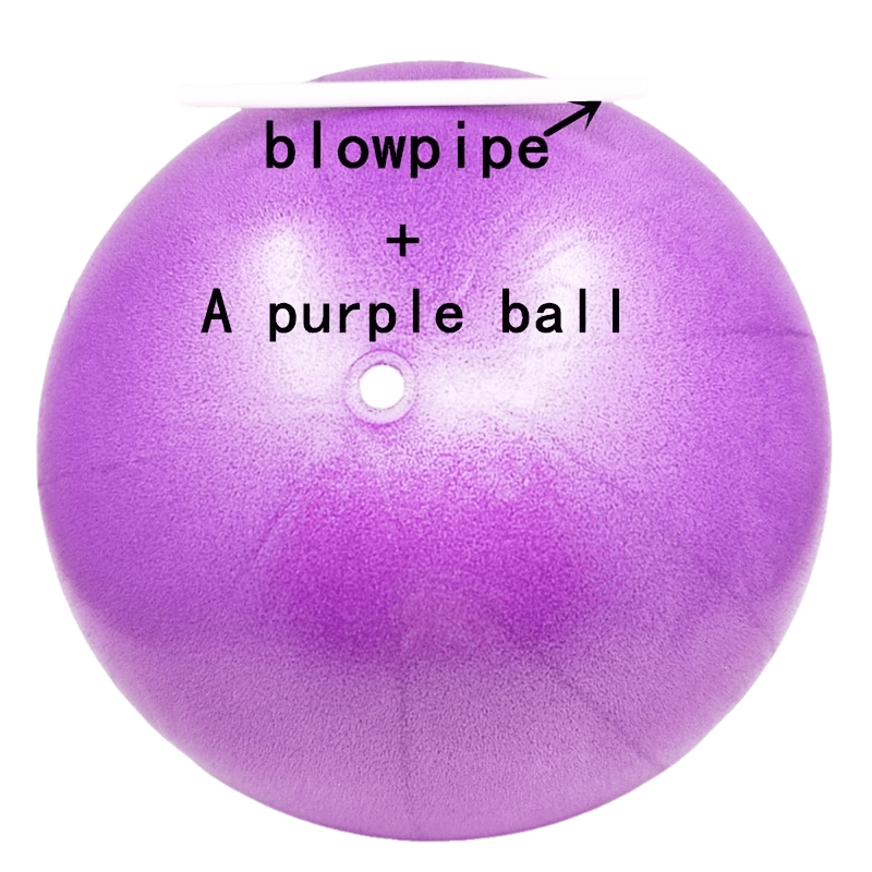 TEMU Yoga Ball Pilates Ball Fitness Ball Massage Ball