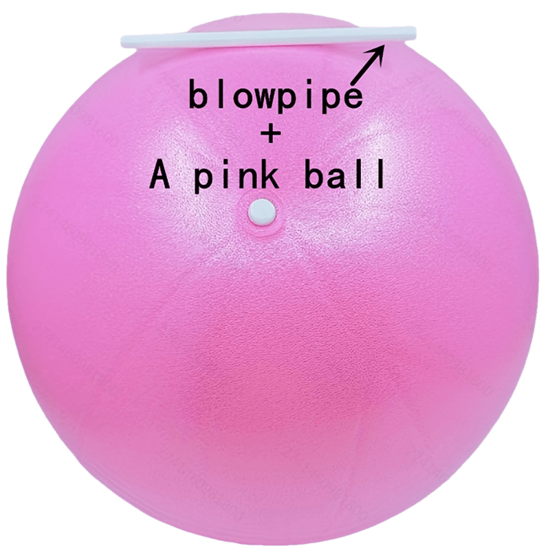 TEMU Yoga Ball Pilates Ball Fitness Ball Massage Ball