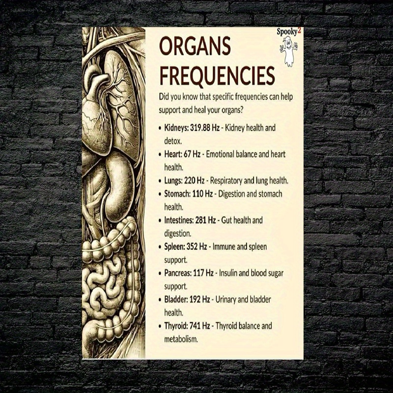 TEMU 2d Flat, 2d Flat, 1pc Decorative Canvas Artwork Featuring An Organ Frequency Diagram, Serving As A Reference Chart For , Kidneys, Lungs, And