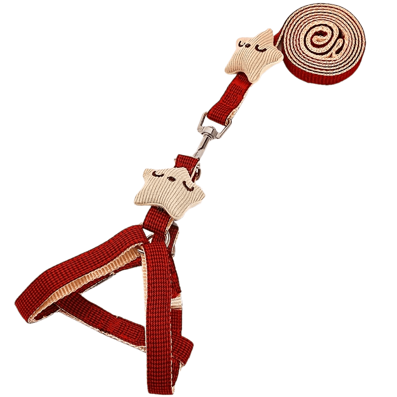 TEMU Guinzaglio per Teddy, per cani, collare per , catena per cani, guinzaglio per cani di taglia media e , , accessori per , senza batteria
