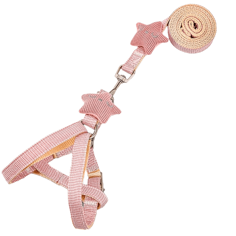 TEMU Laisse pour chien et , corde pour chien, collier pour chien et chat, laisse pour chien, chaîne pour chien, taille moyenne et petite, Pomeranian,