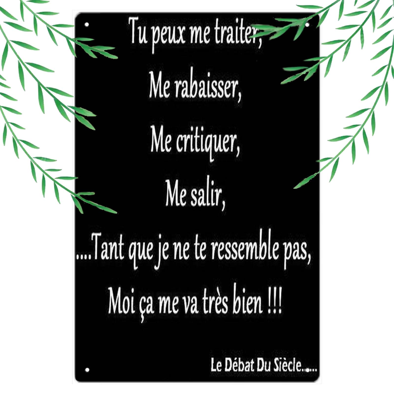 TEMU 2D Plat - 1pc Plaque Métallique 2D Plat | Art Mural en Fer avec Française - Plaque de Décorative de Style Traditionnel, 20x30cm/8x12inch,