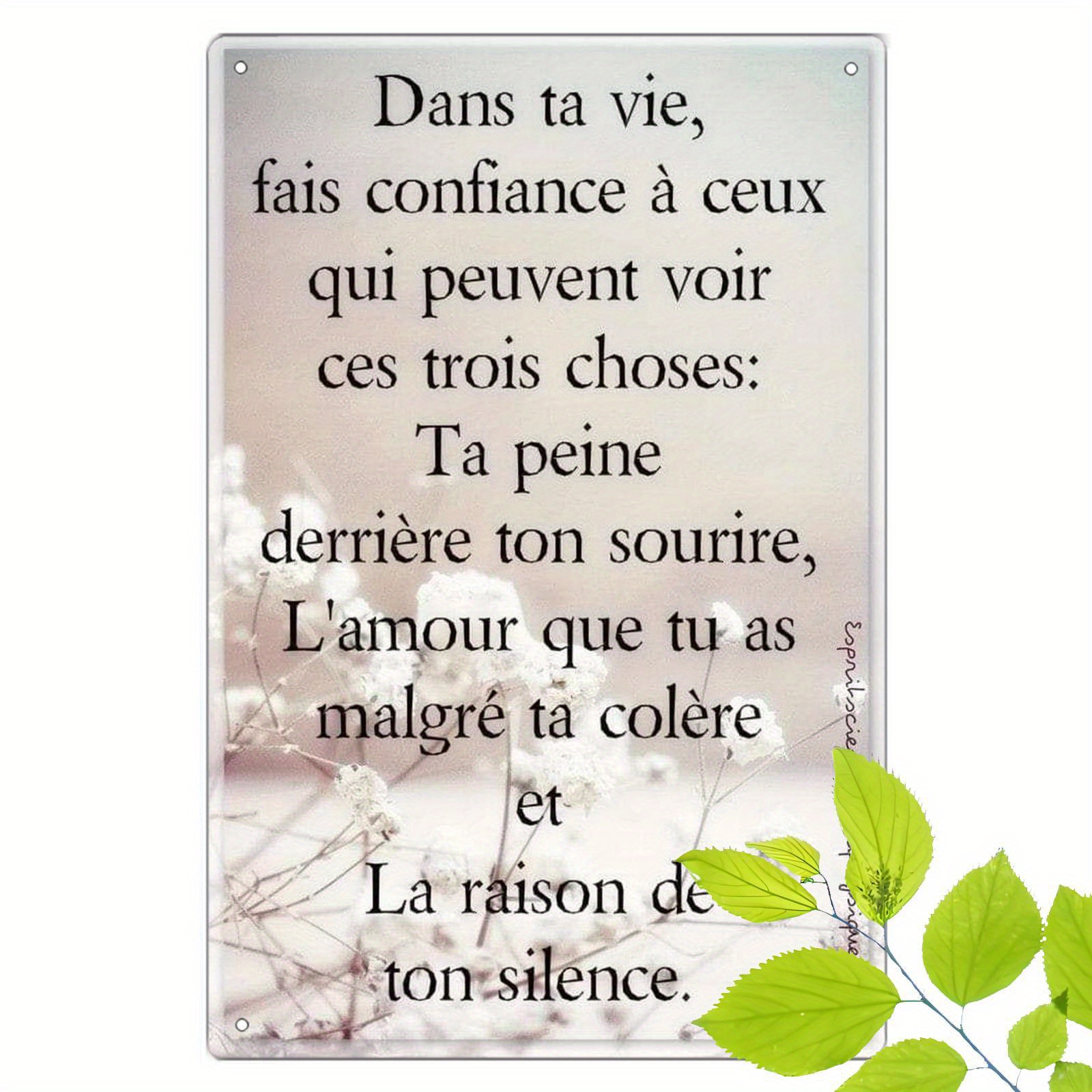 TEMU Plaque métallique 2D plate, 1 pièce, art mural en fer avec française - Plaque en étain avec fond floral élégant et de motivation, 8*12 pouces/