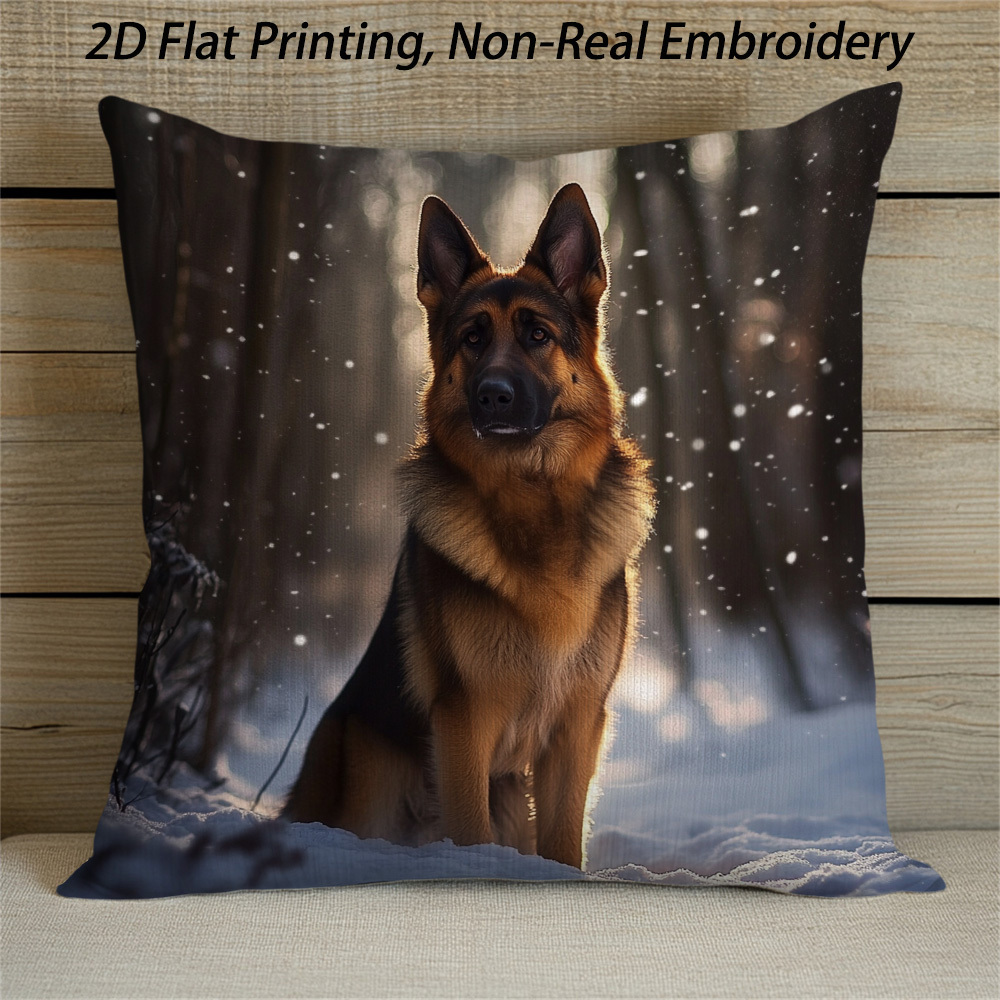 _DE PRODUCTOS _GATO Temu