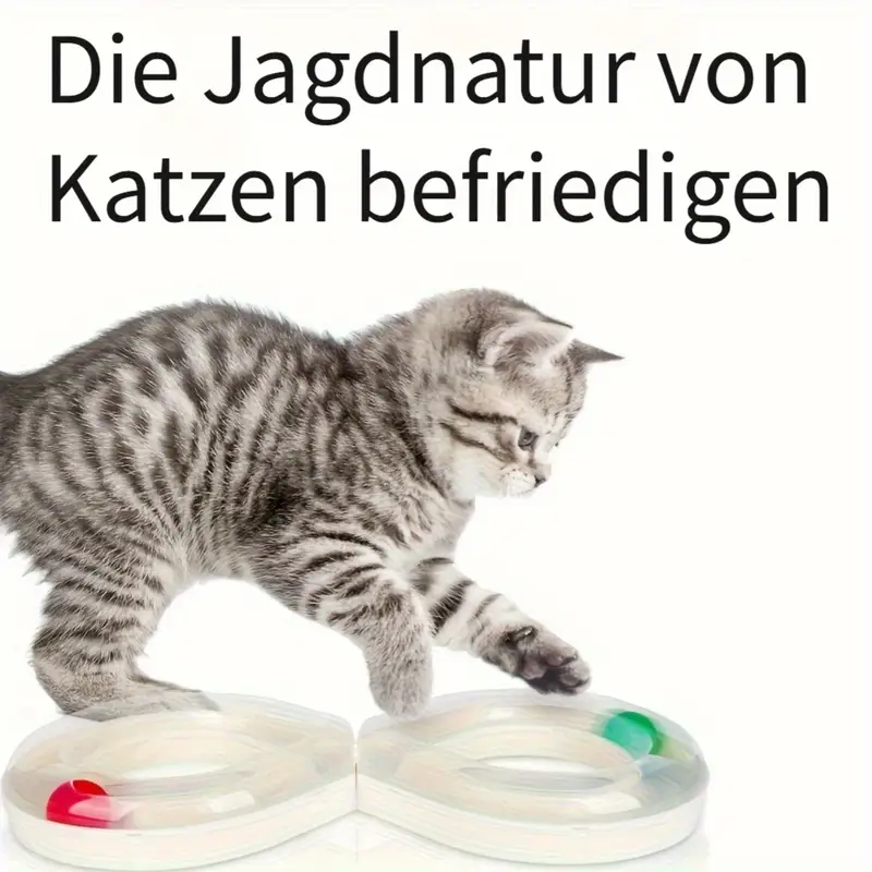 interaktives katzen drehteller spielzeug fesselnde bahn - Temu Germany interaktives katzen drehteller spielzeug fesselnde bahn - Temu Germany