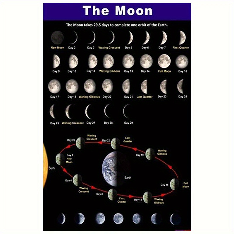 TEMU Affiche scientifique 2D plate, 1 pièce, cadre, phases de - Art mural sur toile 30.48x45.72 cm, informatif du cycle avec et , idéal pour la