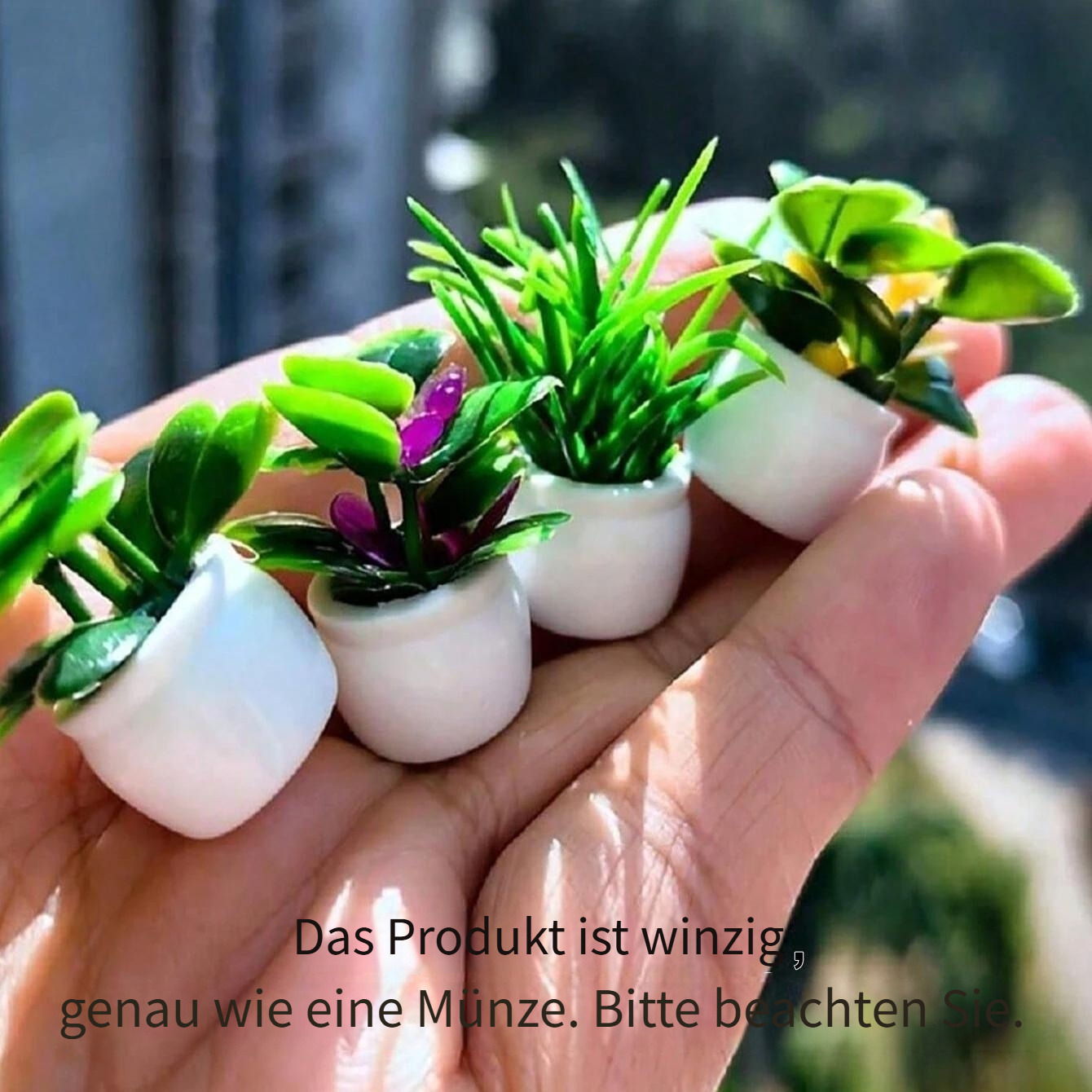 mini pflanzen