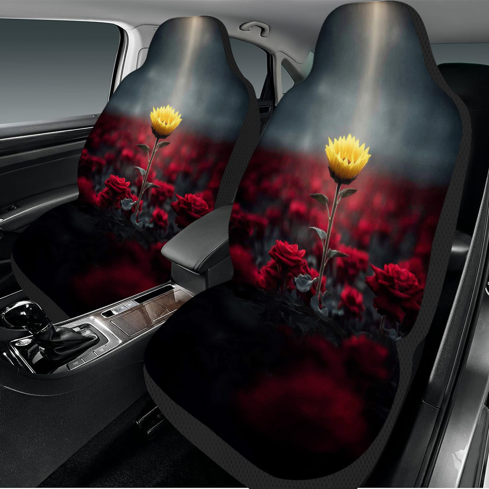 Temu Car Seat Covers