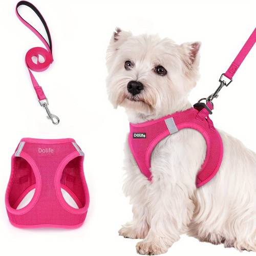 hundegeschirr und leinen set, atmungsaktives allwetter-mesh, reflektierend, weiche und leichte haustierweste, für kleine hunde, welpen, ohne batterie