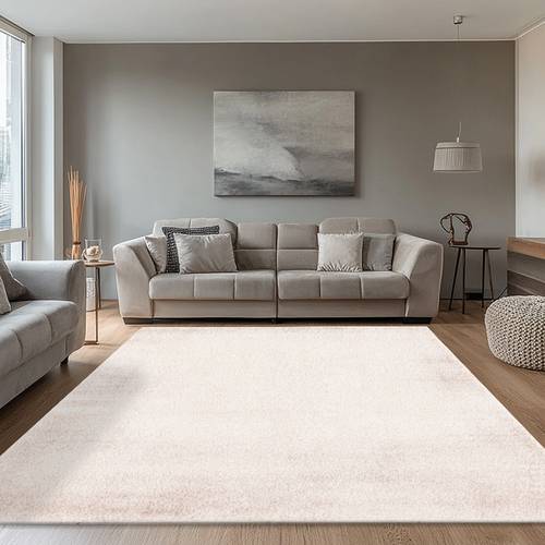 850g soft thick velvet modern minimalist solid non slip and machine washable suitable for hallway entryway kitchen bathroom bedroom living room office dining room as soft versatile for