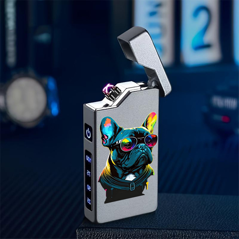 TEMU 1 pièce Briquet à arc électrique coupe-vent avec motif de français coloré portant des lunettes, style tendance, briquet rechargeable par USB,