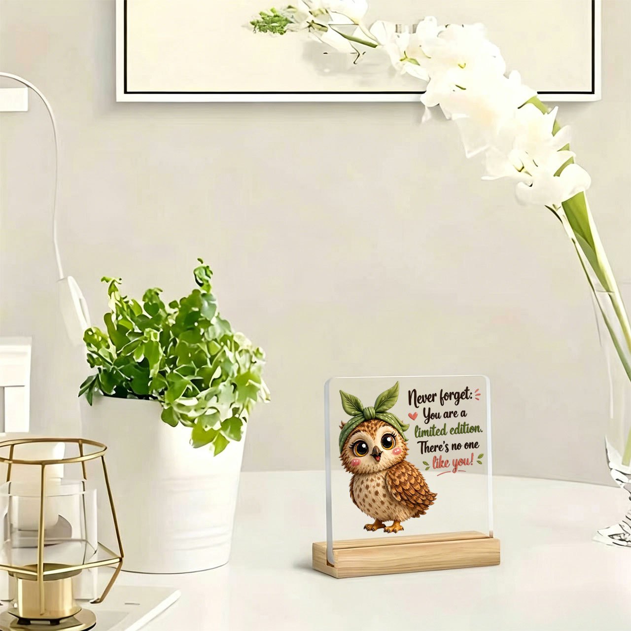 TEMU 1pc Cartoon Owl And "" Slogan Decorative Plaque And Ornament, Acrylic Decorative Item Suitable For Living Room, Bedroom, Memorial Corner, Etc