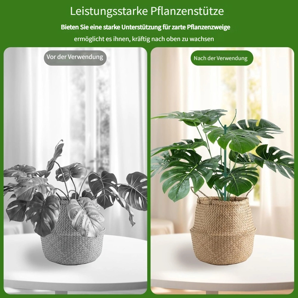 topfpflanze pinke blte Hortensie - Hydrangea Magical Revolution Pink - Pink - 6-10 Blten